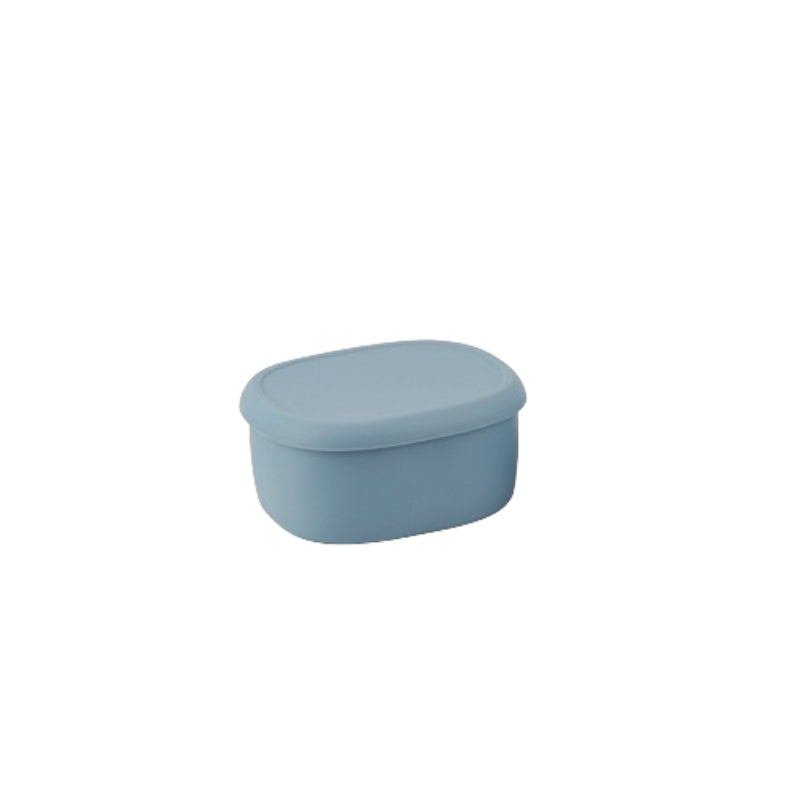 Boite-rangement-plastique-frigo-taille-L-bleu