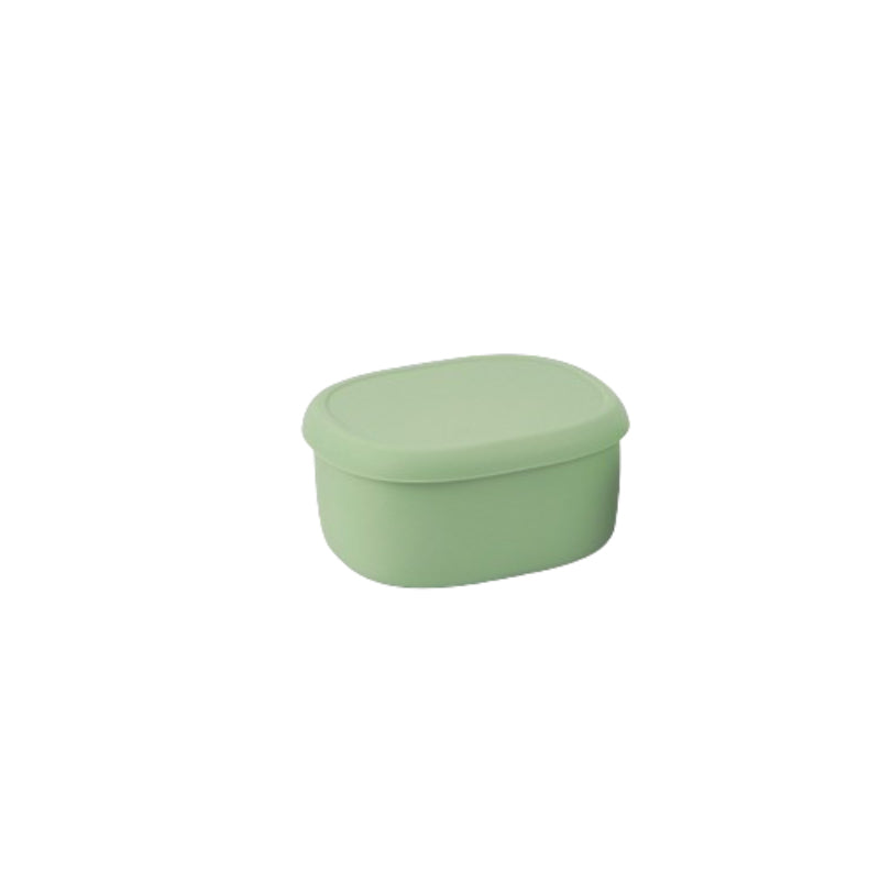 Boite-rangement-plastique-frigo-taille-L-vert