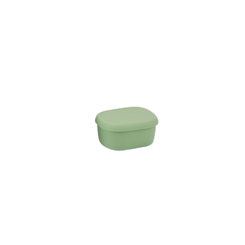 Boite-rangement-plastique-frigo-taille-S-vert