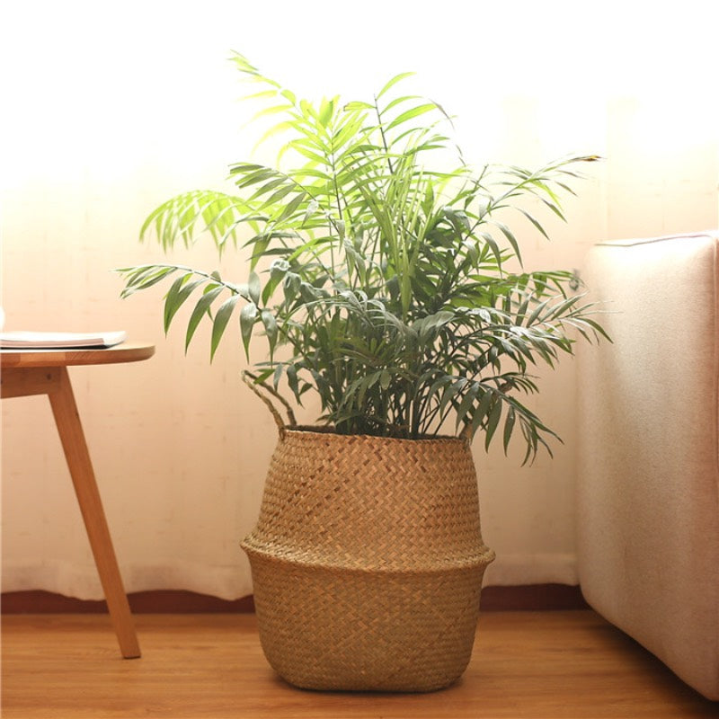 Grand-panier-de-rangement-en-osier-avec-plante